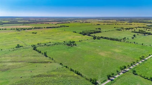 a view of an green field and an trees