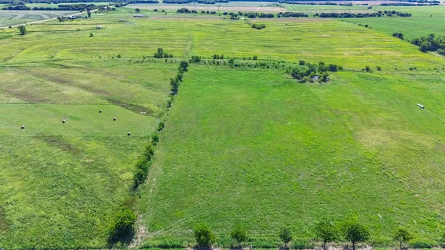 a big yard with lots of green space and deers