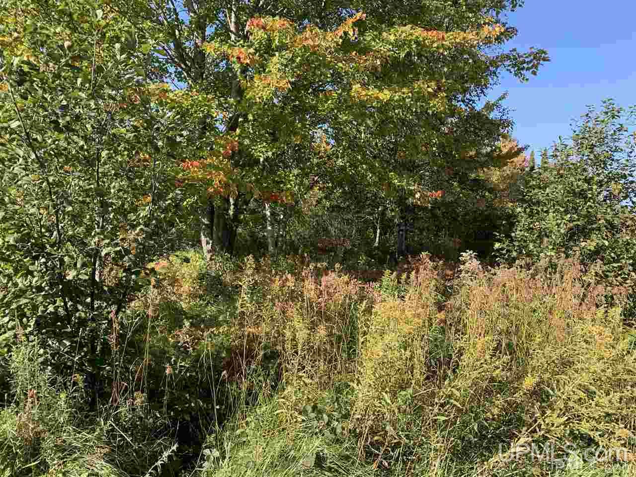 Tbd Tbd Off Ahola Rd Drive Watton, MI 49970 - Photo 3 of 3