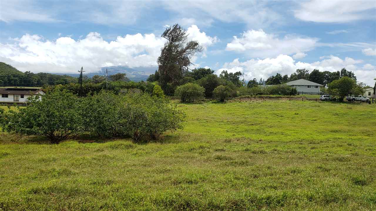 2650 Poko Place Haiku, HI 96708 - Photo 4 of 6 Gallery Image 4