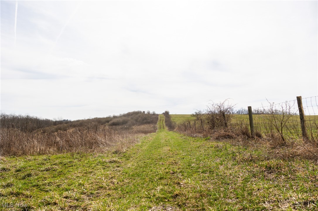 106 Township Road Rayland, OH 43943 - Photo 13 of 48 View of nature