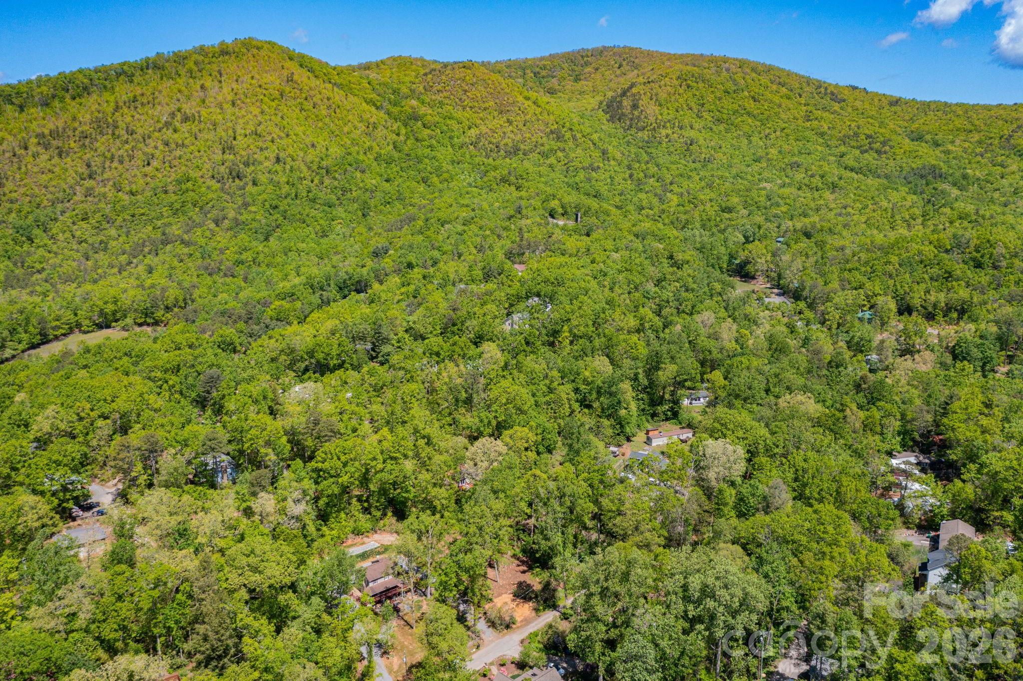 99999 Meeks Road Black Mountain, NC 28711 - Photo 13 of 18 a view of a large trees with a mountain in the background