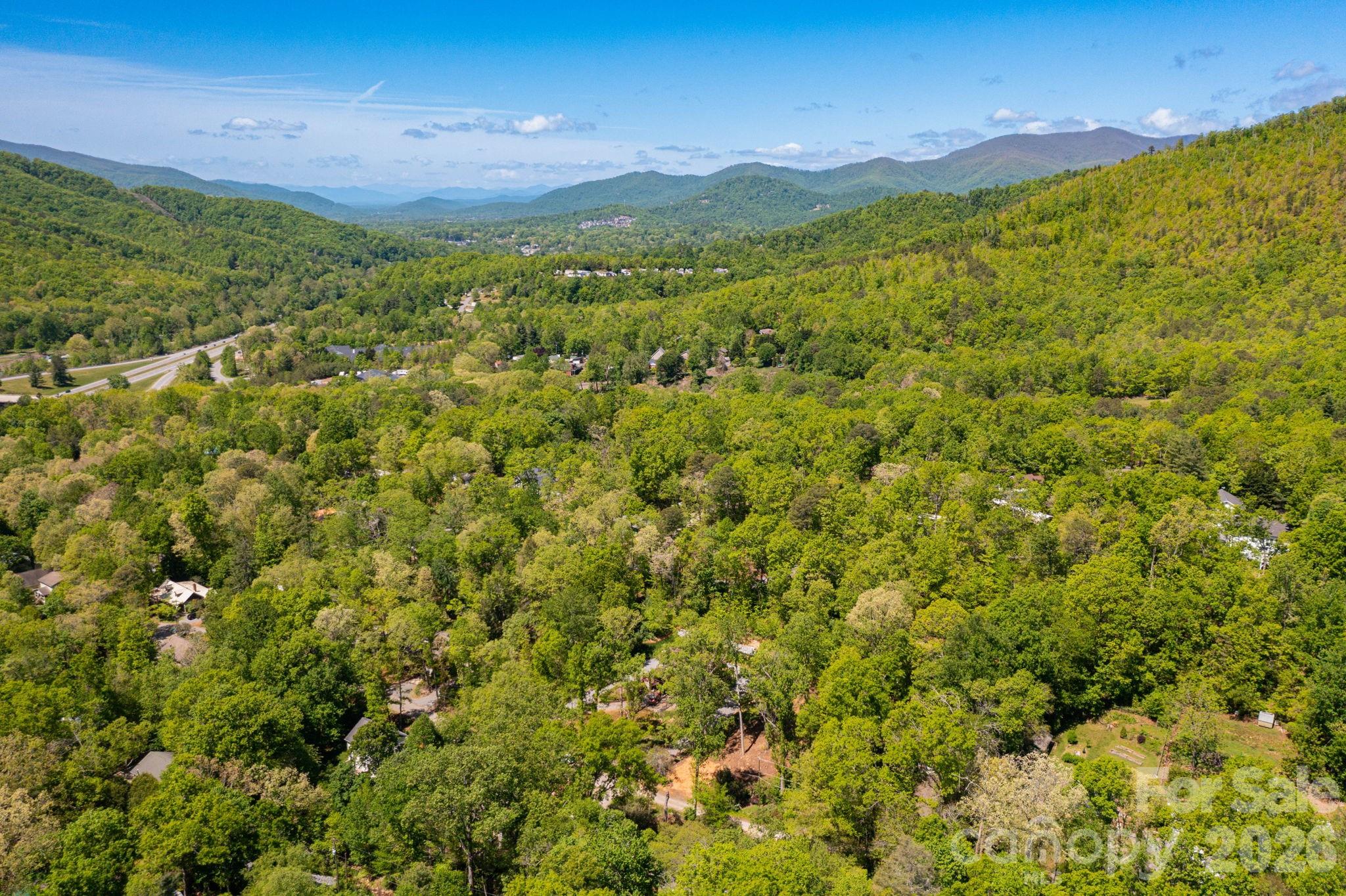 99999 Meeks Road Black Mountain, NC 28711 - Photo 15 of 18 a view of a city