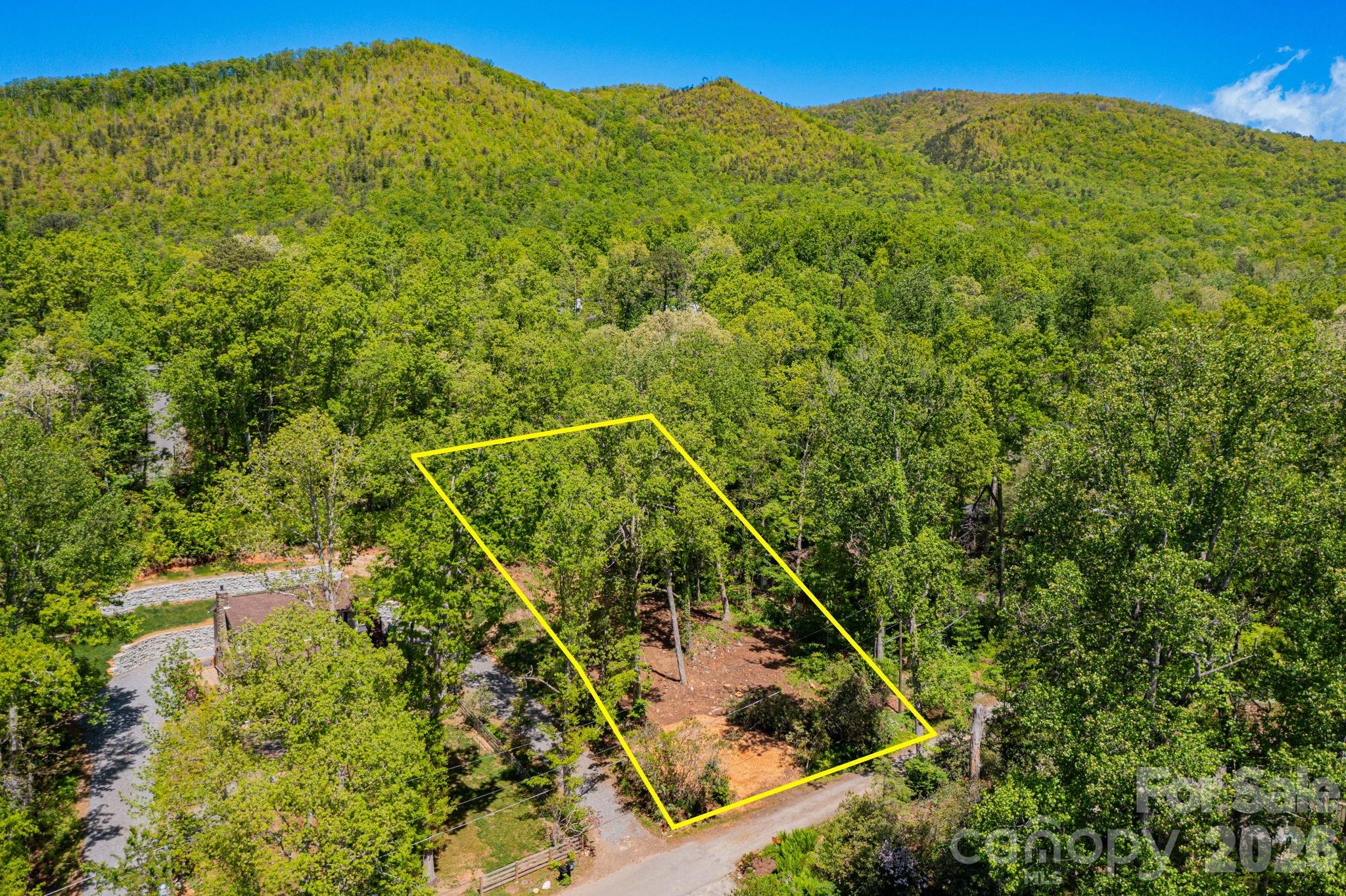 99999 Meeks Road Black Mountain, NC 28711 - Photo 4 of 18 a view of a mountain