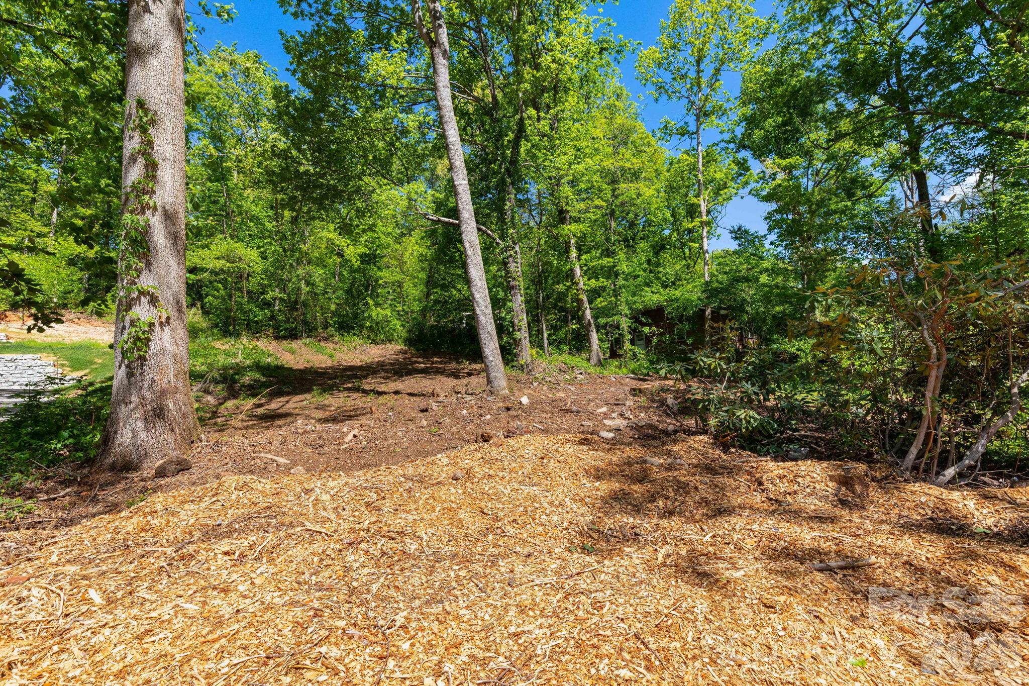 99999 Meeks Road Black Mountain, NC 28711 - Photo 6 of 18 a view of a forest with trees