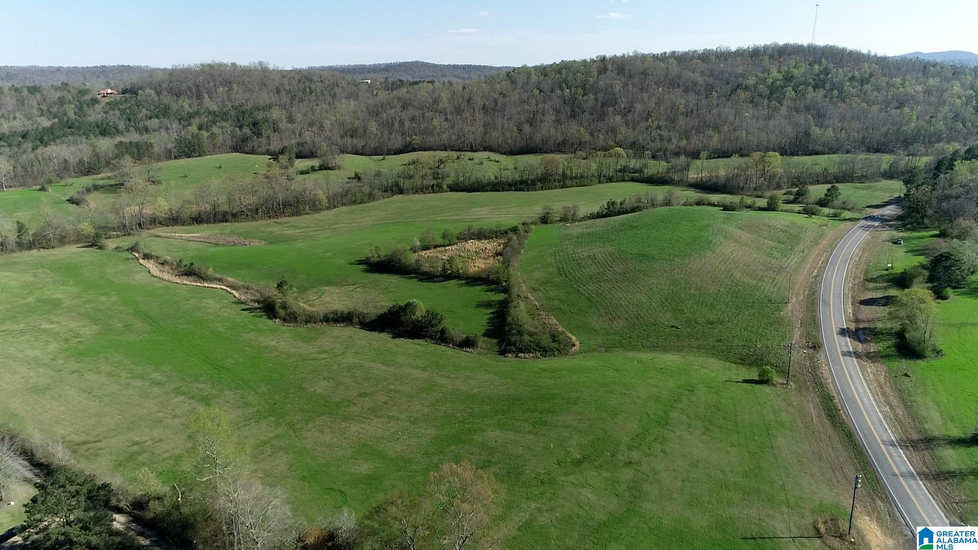 6405 Highway 174, Unit TRACT 2 Springville, AL 35146 - Photo 1 of 14