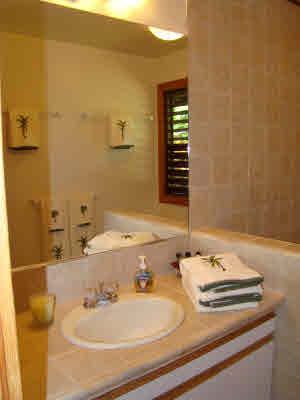 3683 Anini Road Princeville, HI 96722 - Photo 10 of 18