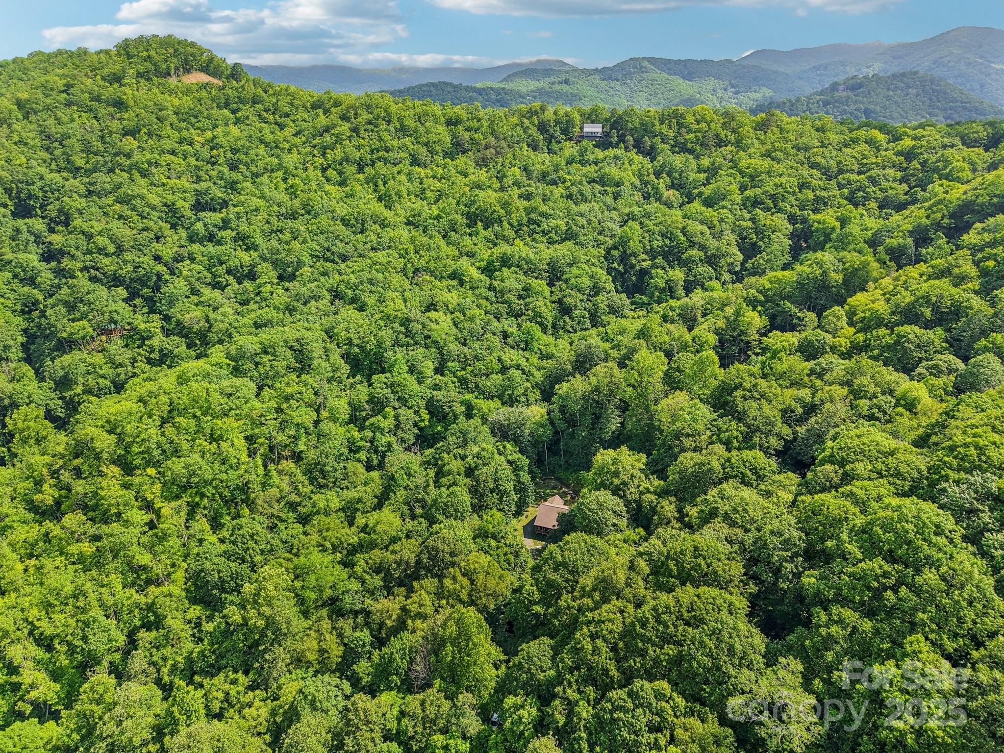 2171 Black Rock Road Cherokee, NC 28719 - Photo 32 of 36 a view of a lush green field