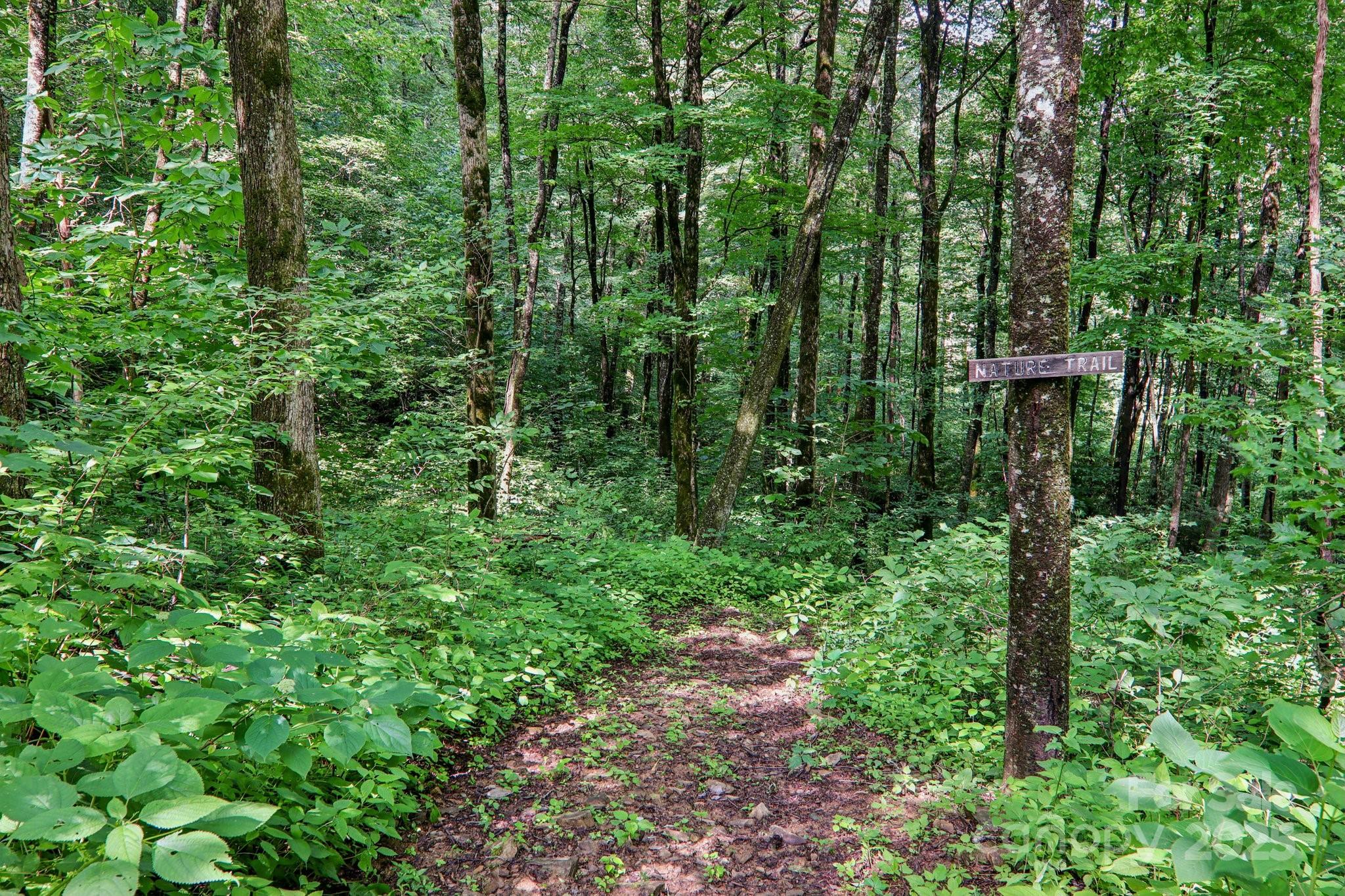 2171 Black Rock Road Cherokee, NC 28719 - Photo 36 of 36 a view of outdoor space and green space
