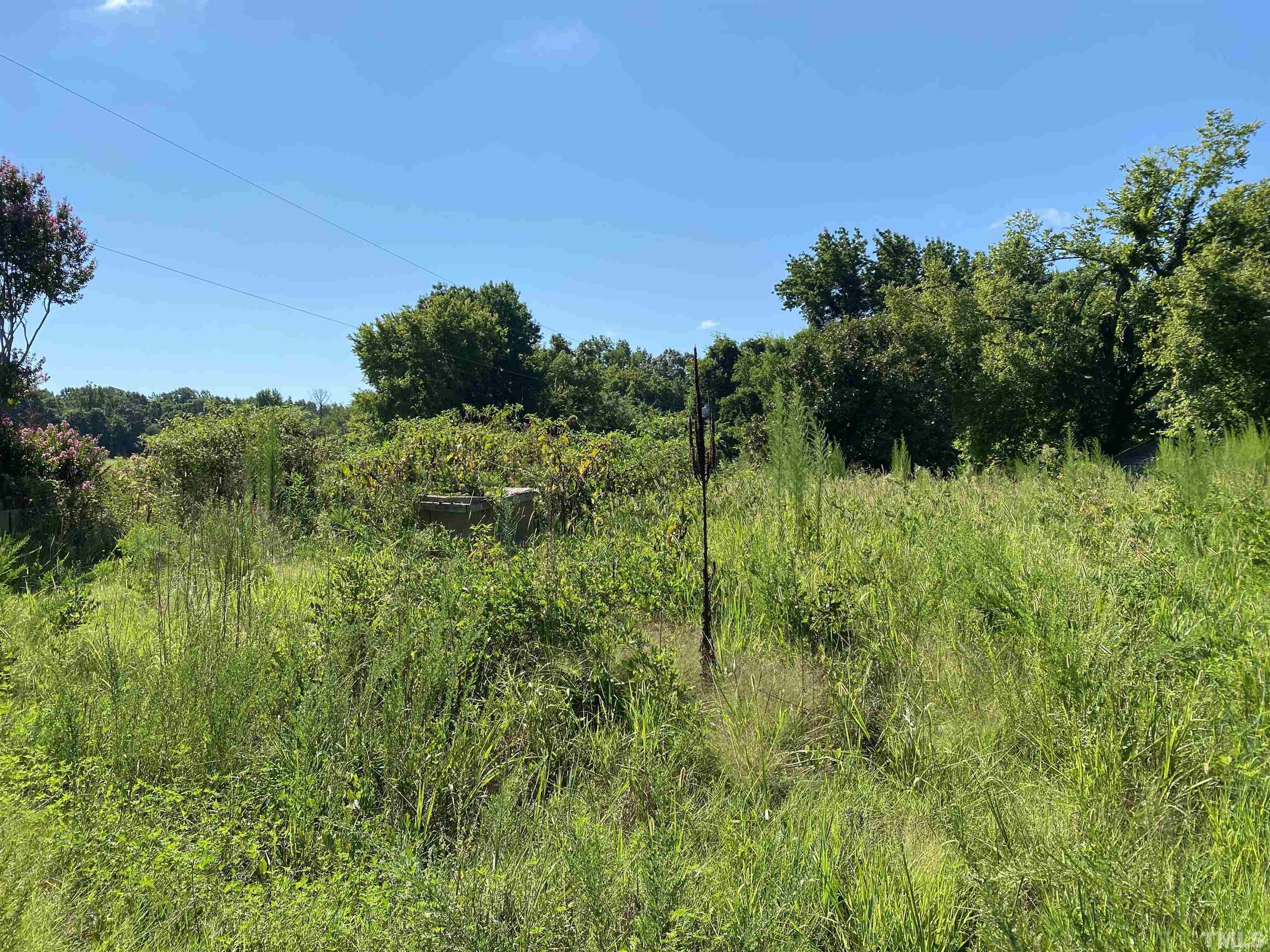 1845 Brooks Dairy Road Roxboro, NC 27574 - Photo 3 of 10 a view of a garden