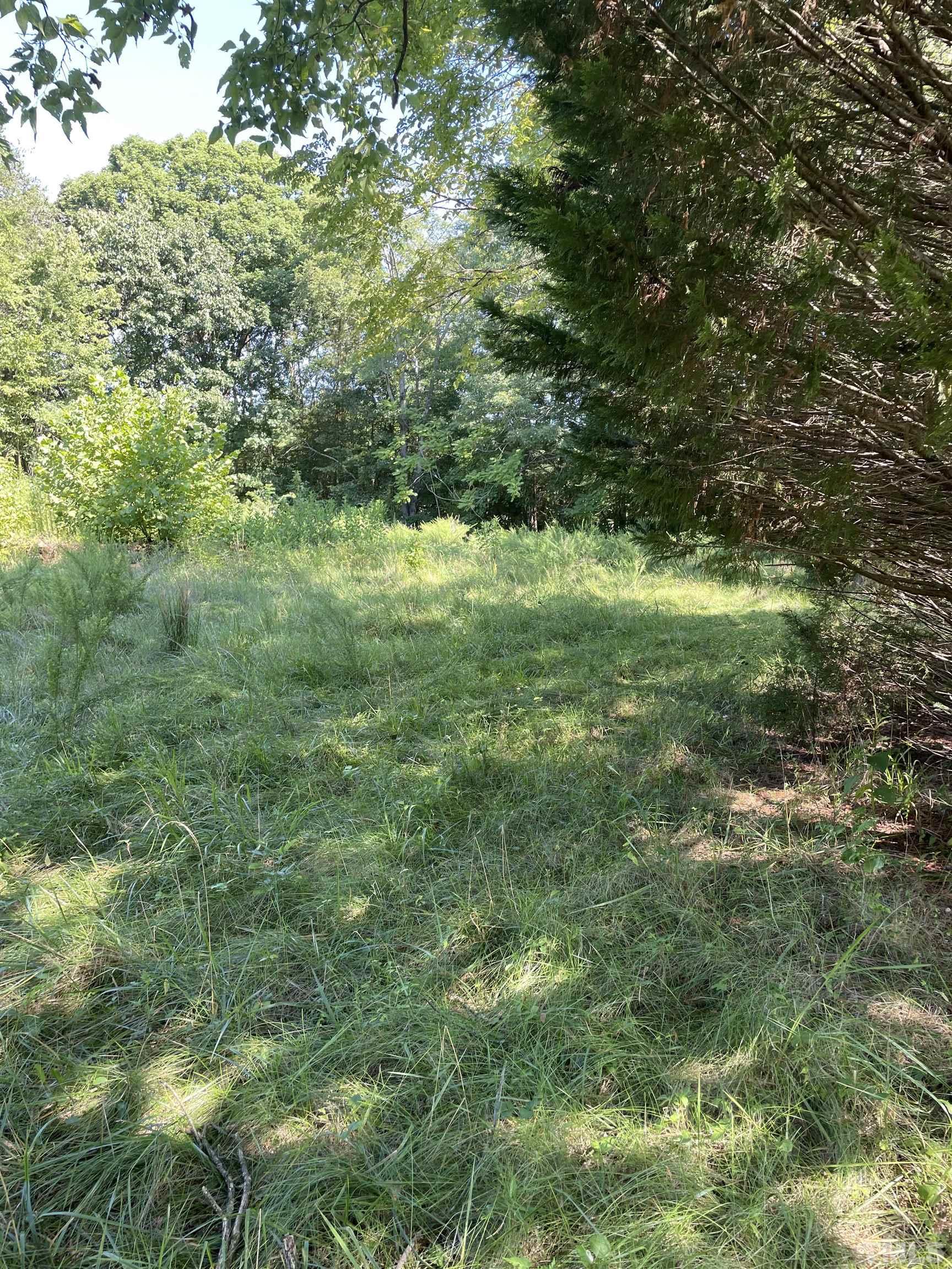 1845 Brooks Dairy Road Roxboro, NC 27574 - Photo 7 of 10 a view of a lush green space