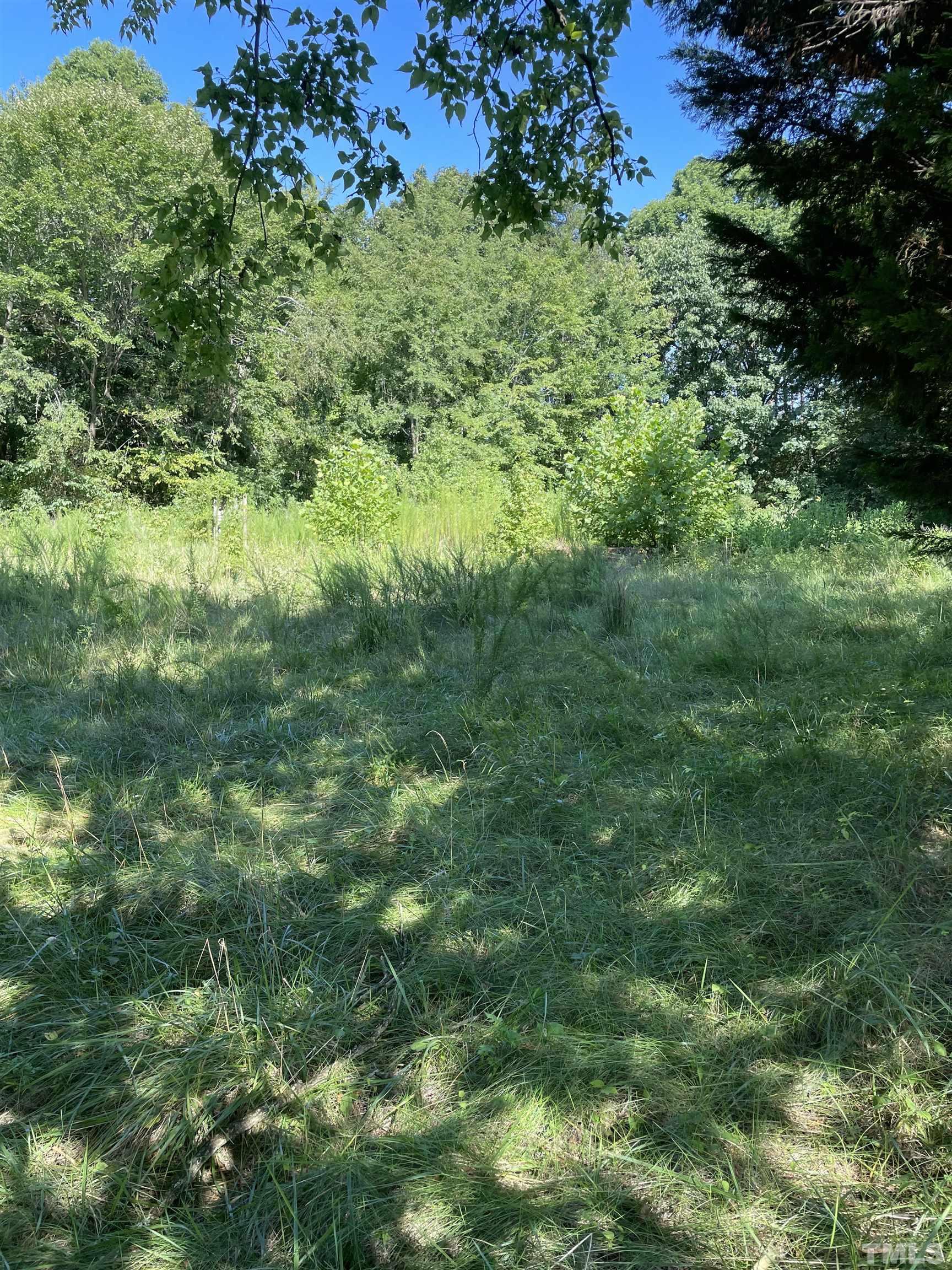 1845 Brooks Dairy Road Roxboro, NC 27574 - Photo 8 of 10 a view of a lush green forest