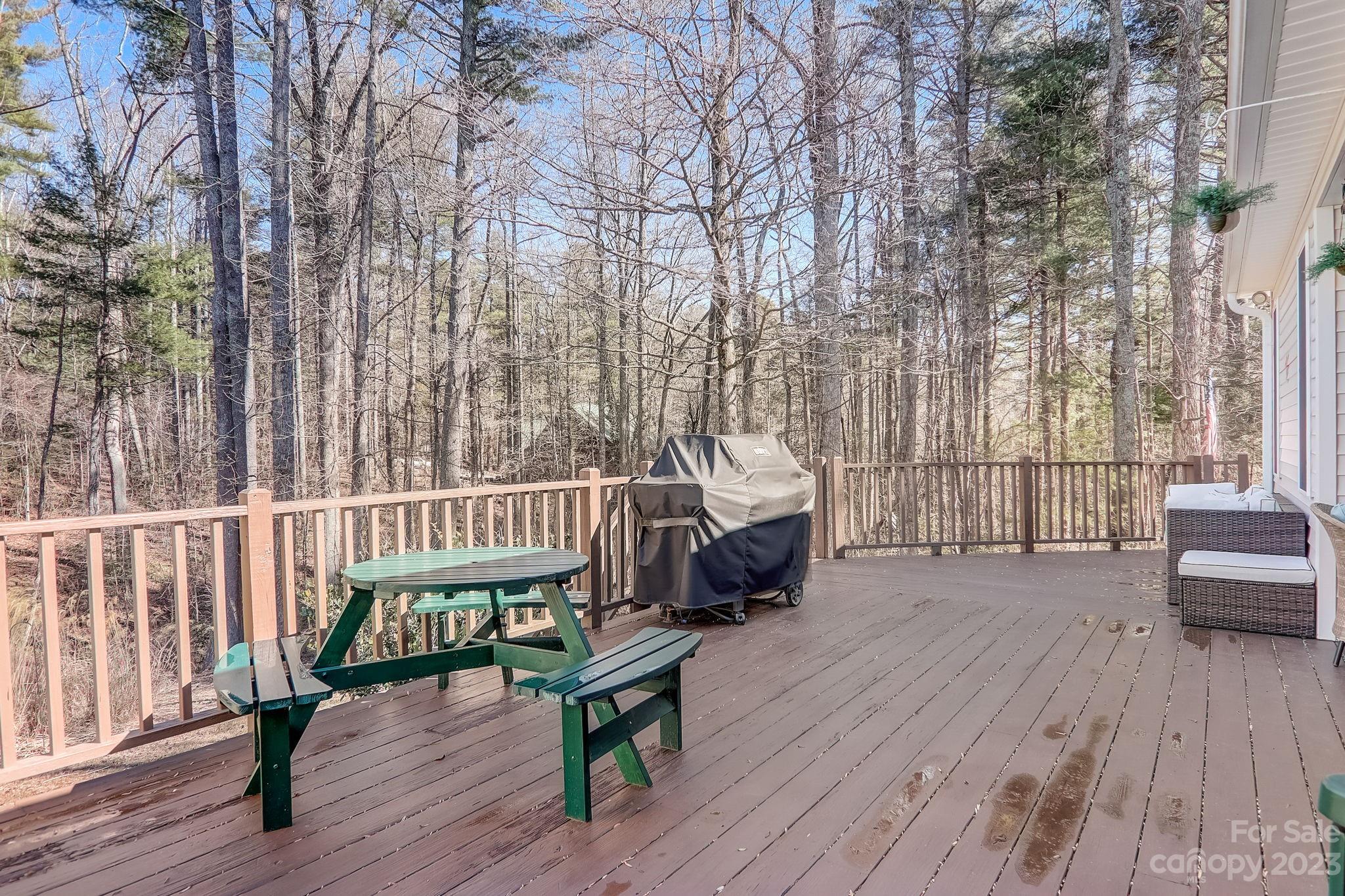 1603 Howard Gap Loop Road Flat Rock, NC 28731 - Photo 33 of 44 Gallery Image 33