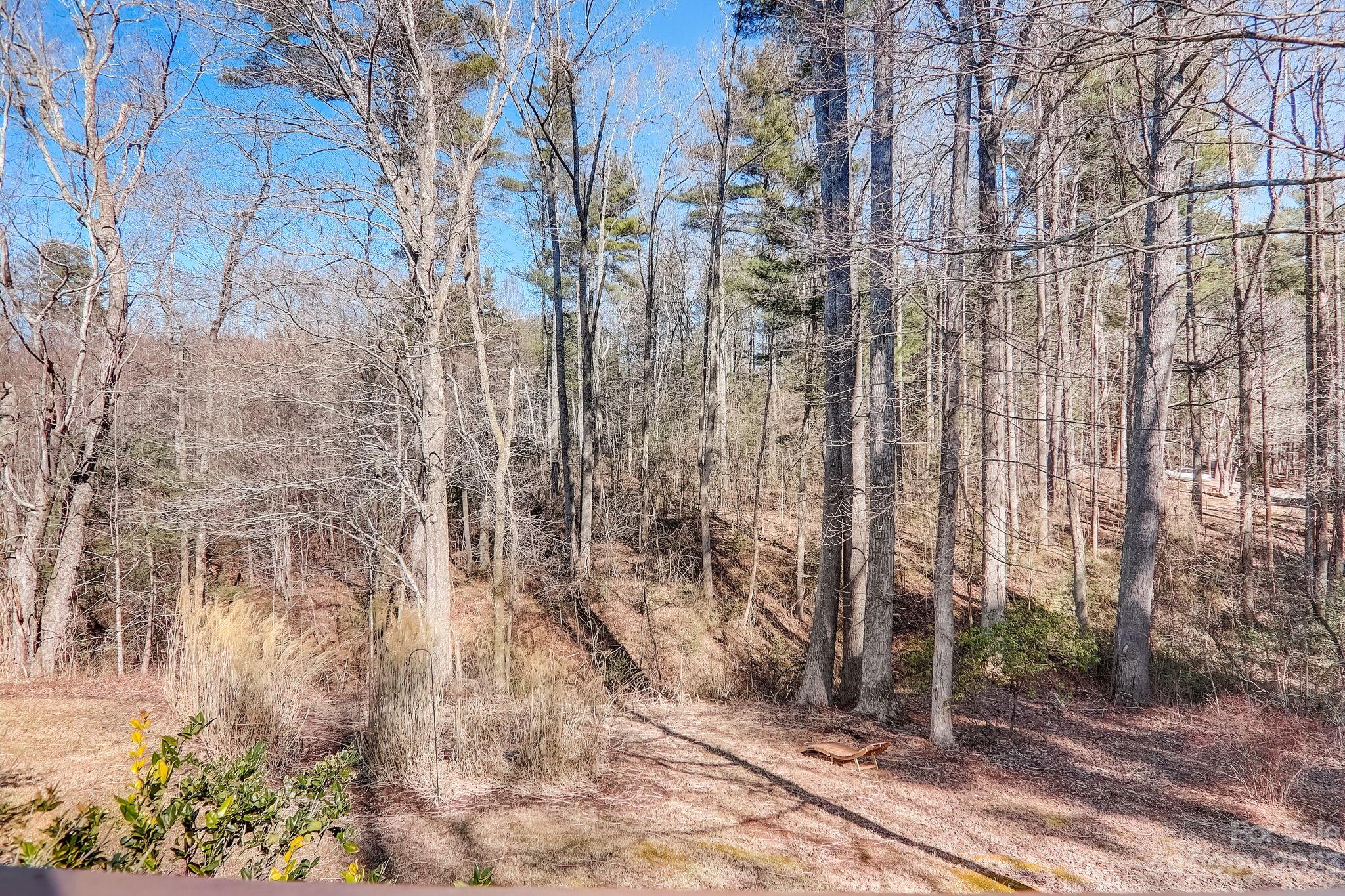 1603 Howard Gap Loop Road Flat Rock, NC 28731 - Photo 36 of 44 Gallery Image 36