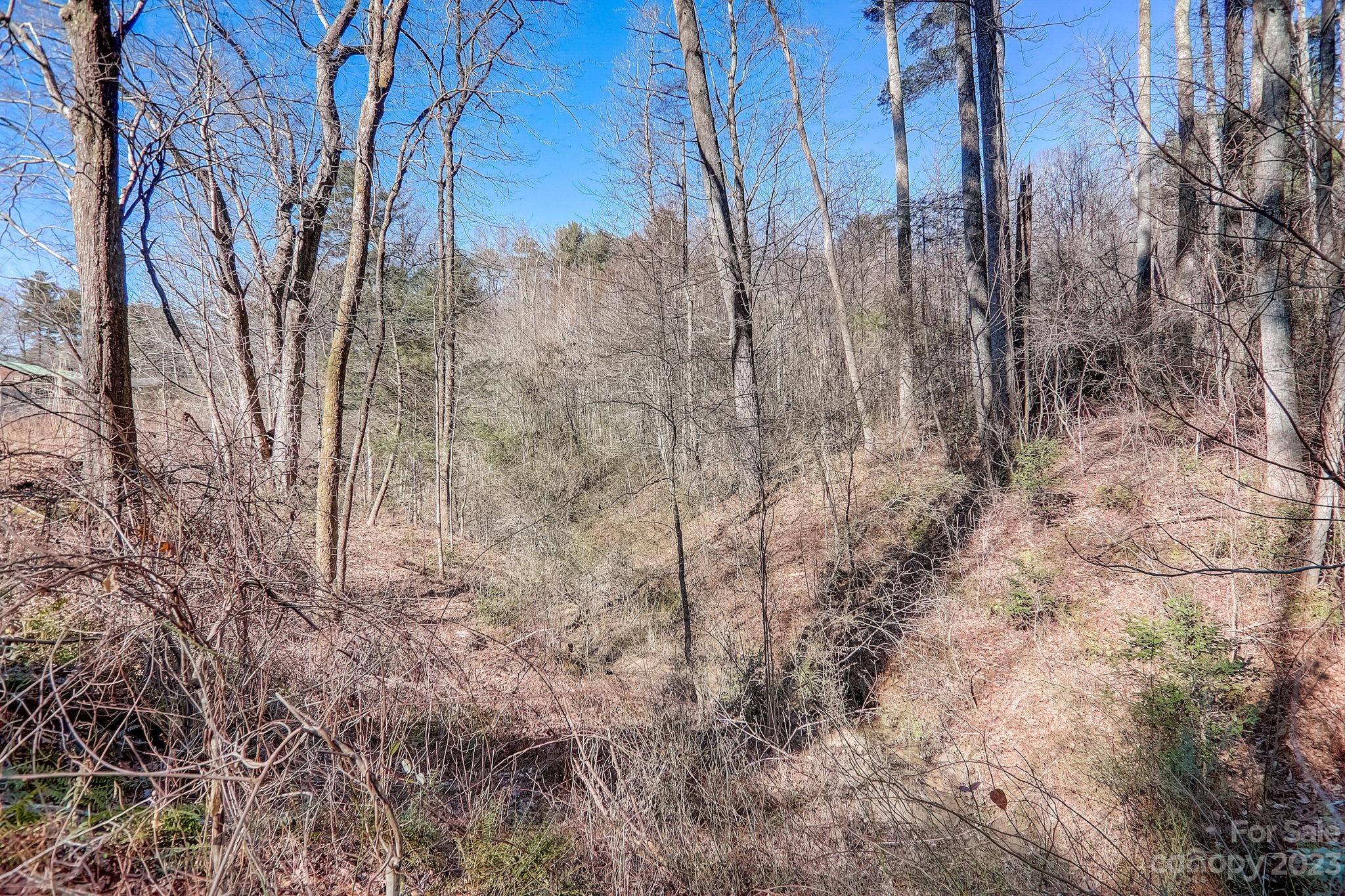 1603 Howard Gap Loop Road Flat Rock, NC 28731 - Photo 38 of 44 Gallery Image 38