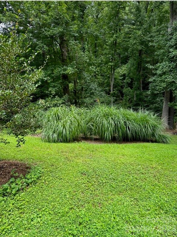 1603 Howard Gap Loop Road Flat Rock, NC 28731 - Photo 42 of 44 Gallery Image 42