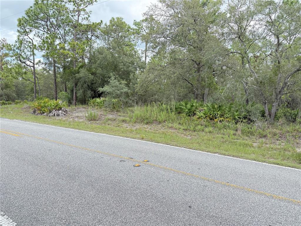 0 Fulton Avenue Weeki Wachee, FL 34613 - Photo 2 of 7 Gallery Image 2