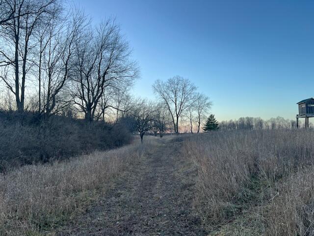 10 10 Mile Road Lakeview, MI 48850 - Photo 5 of 12