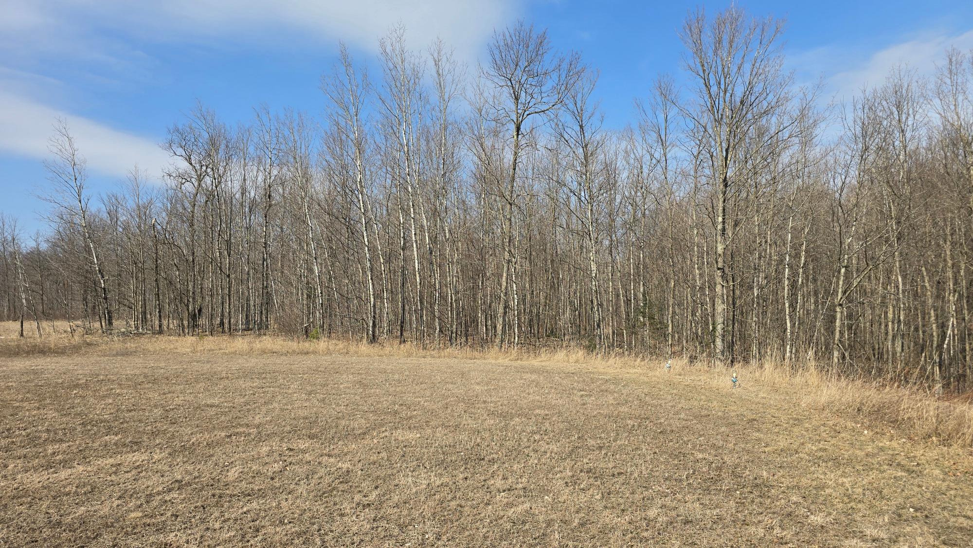 W6280 Sherry Road Bryant, WI 54418 - Photo 67 of 73 Gallery Image 67