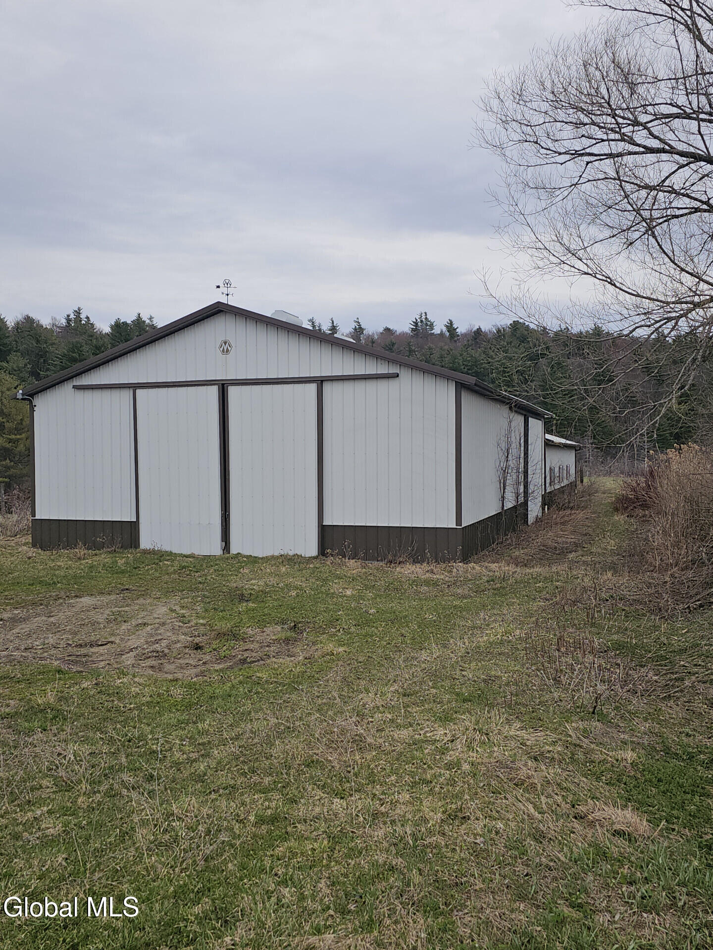 290 Griggs Road Springfield, NY 13468 - Photo 4 of 59 290GriggsRd_68576_5