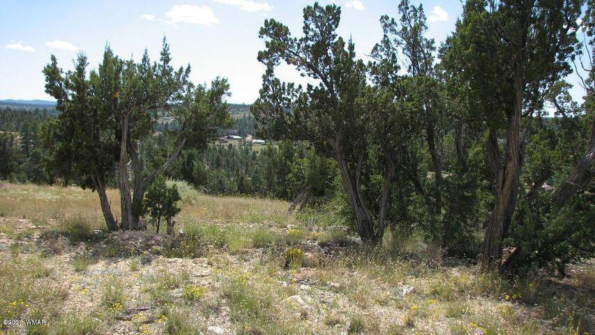 29 T14n R17e: Parcel 6 Creek Heber, AZ 85928 - Photo 7 of 7
