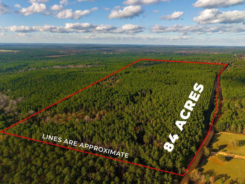 0 Edgar Jones Road Mauk, GA 31058 - Photo 1 of 21 Main View