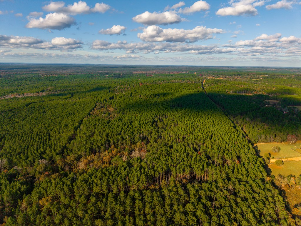 0 Edgar Jones Road Mauk, GA 31058 - Photo 13 of 21