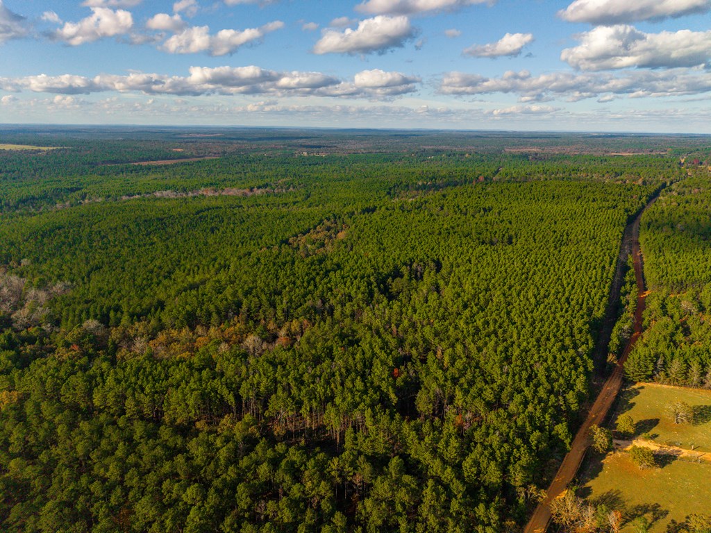 0 Edgar Jones Road Mauk, GA 31058 - Photo 15 of 21