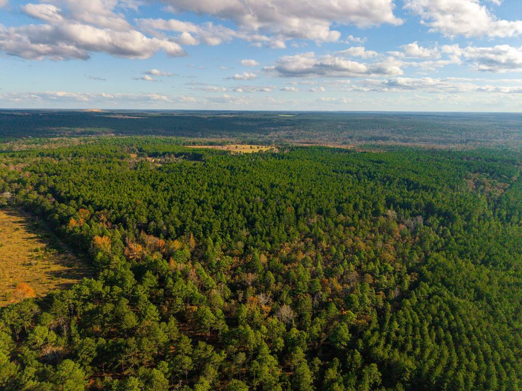 0 Edgar Jones Road Mauk, GA 31058 - Photo 2 of 21