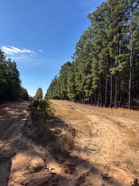 0 Edgar Jones Road Mauk, GA 31058 - Photo 6 of 21