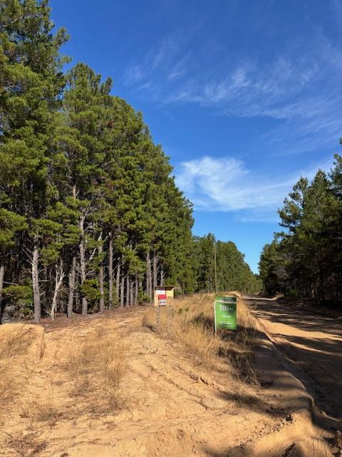 0 Edgar Jones Road Mauk, GA 31058 - Photo 7 of 21