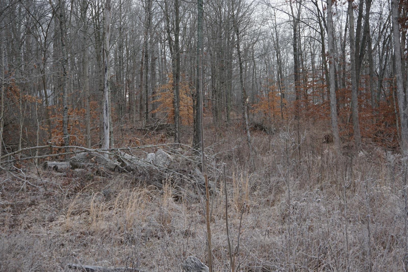 Tbd Cauble Road Mitchell, IN 47446 - Photo 3 of 5