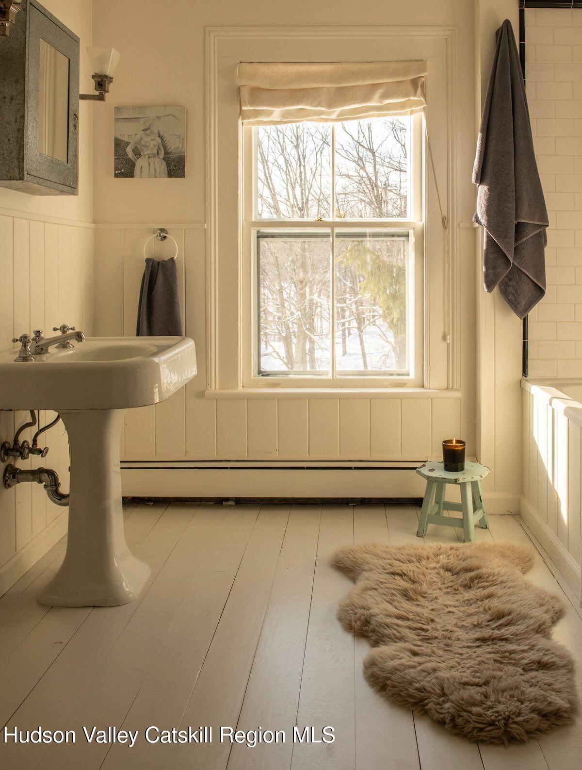 132 Decker Rd Pine Plains Ancram, NY 12502 - Photo 19 of 24 a bathroom with a sink and a bathtub
