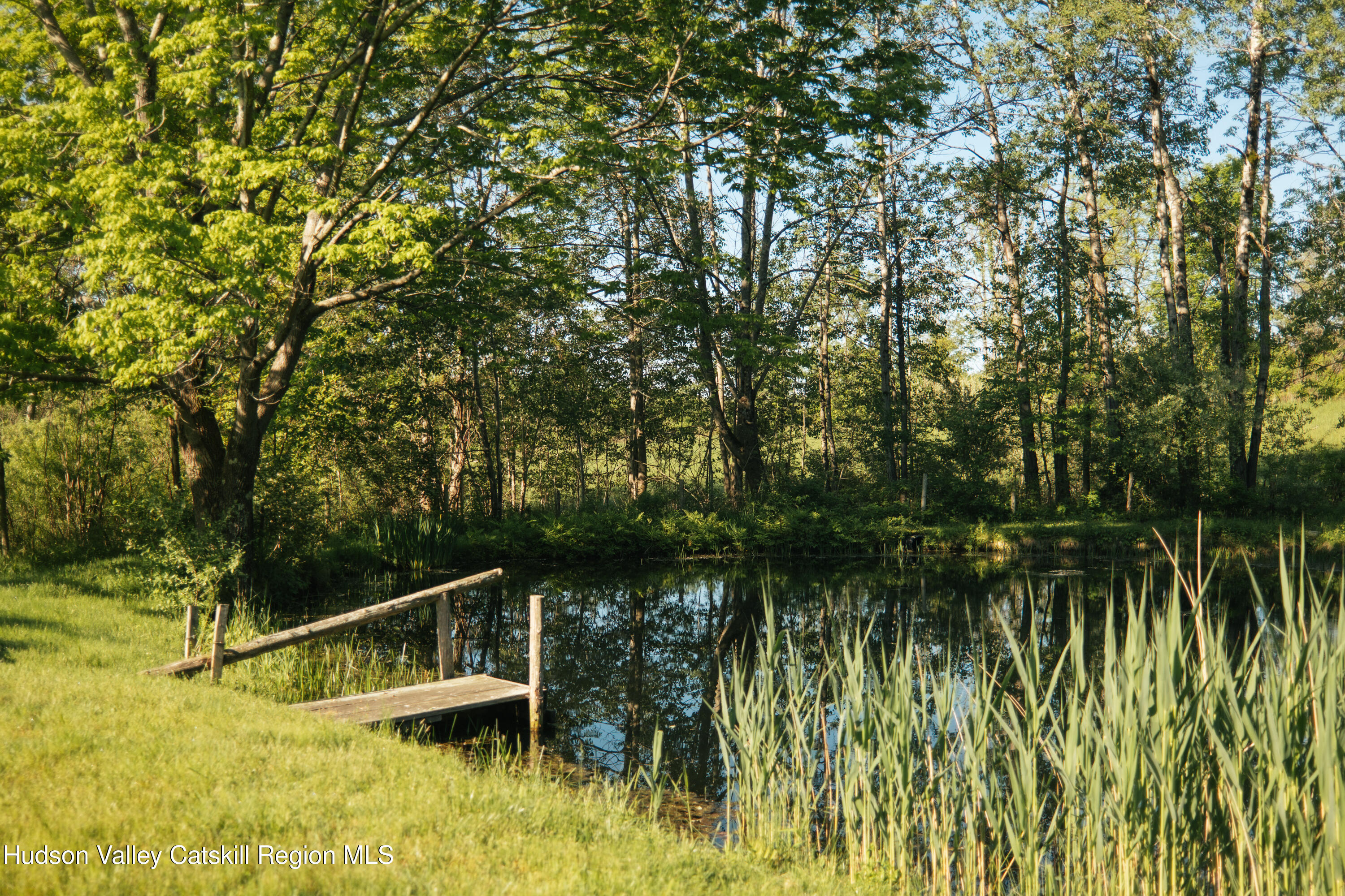 132 Decker Rd Pine Plains Ancram, NY 12502 - Photo 3 of 24 a small garden covered with trees
