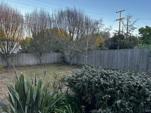 a view of a backyard