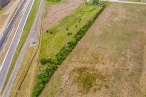 a close up of a plant in a garden