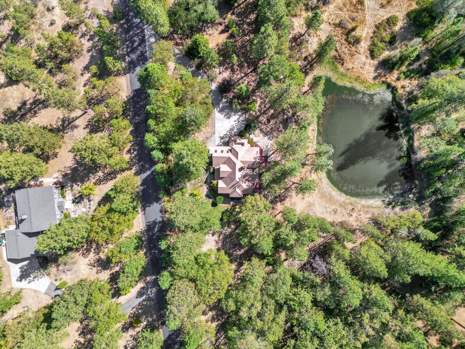 11722 Logans Run Court Grass Valley, CA 95945 - Photo 45 of 99