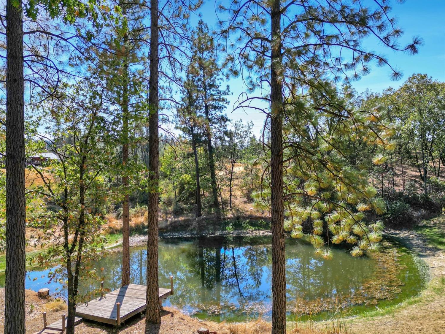 11722 Logans Run Court Grass Valley, CA 95945 - Photo 46 of 99