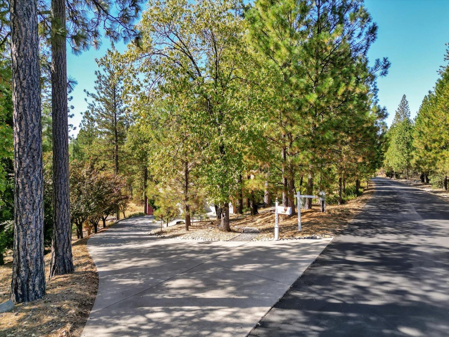 11722 Logans Run Court Grass Valley, CA 95945 - Photo 51 of 99