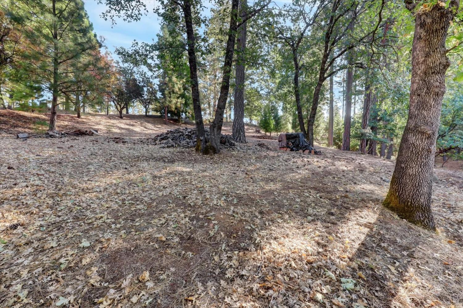 11722 Logans Run Court Grass Valley, CA 95945 - Photo 70 of 99