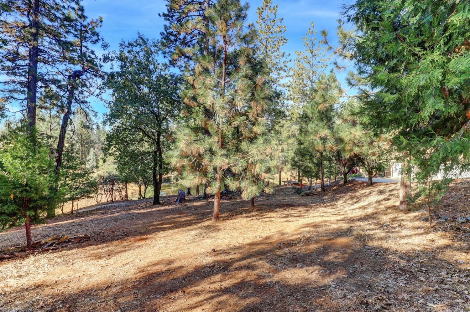 11722 Logans Run Court Grass Valley, CA 95945 - Photo 84 of 99