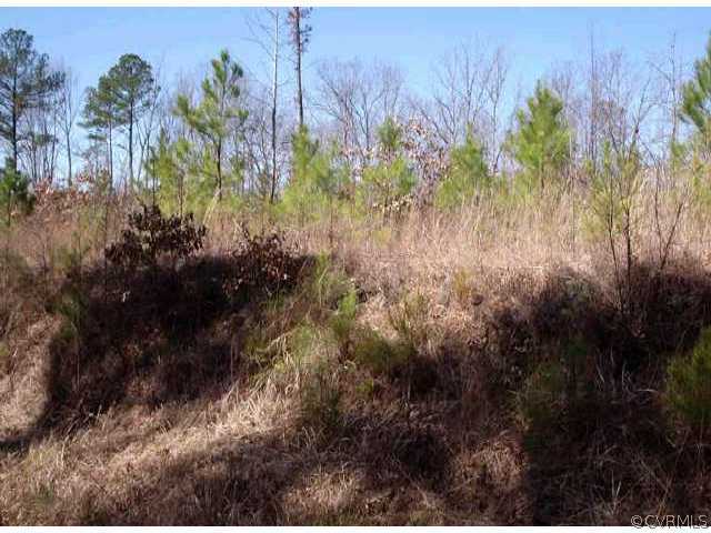 14.06-acres Pole Run Road Disputanta, VA 23842 - Photo 1 of 1 Exterior Front