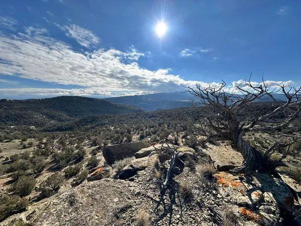 $180,000 | 4521 Horse Canyon Road, De Beque, CO 81630