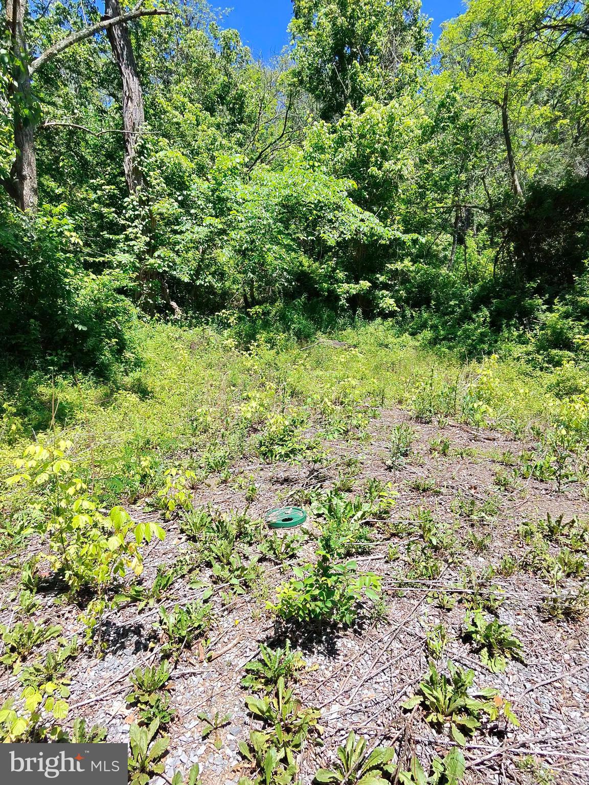 1461 Springfield Pike Springfield, WV 26763 - Photo 9 of 15