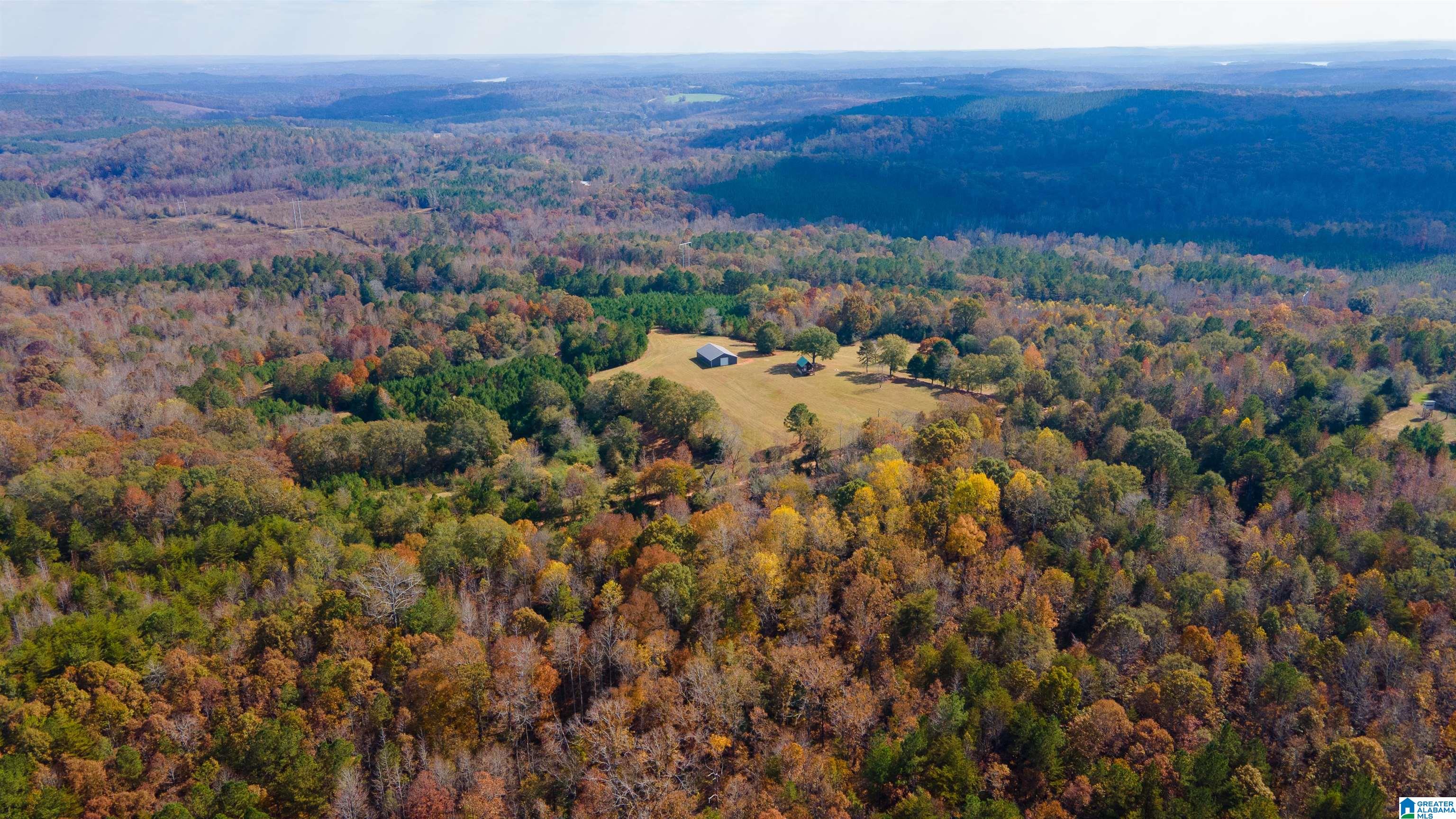 0 White Plains Road Munford, AL 36268 - Photo 5 of 17