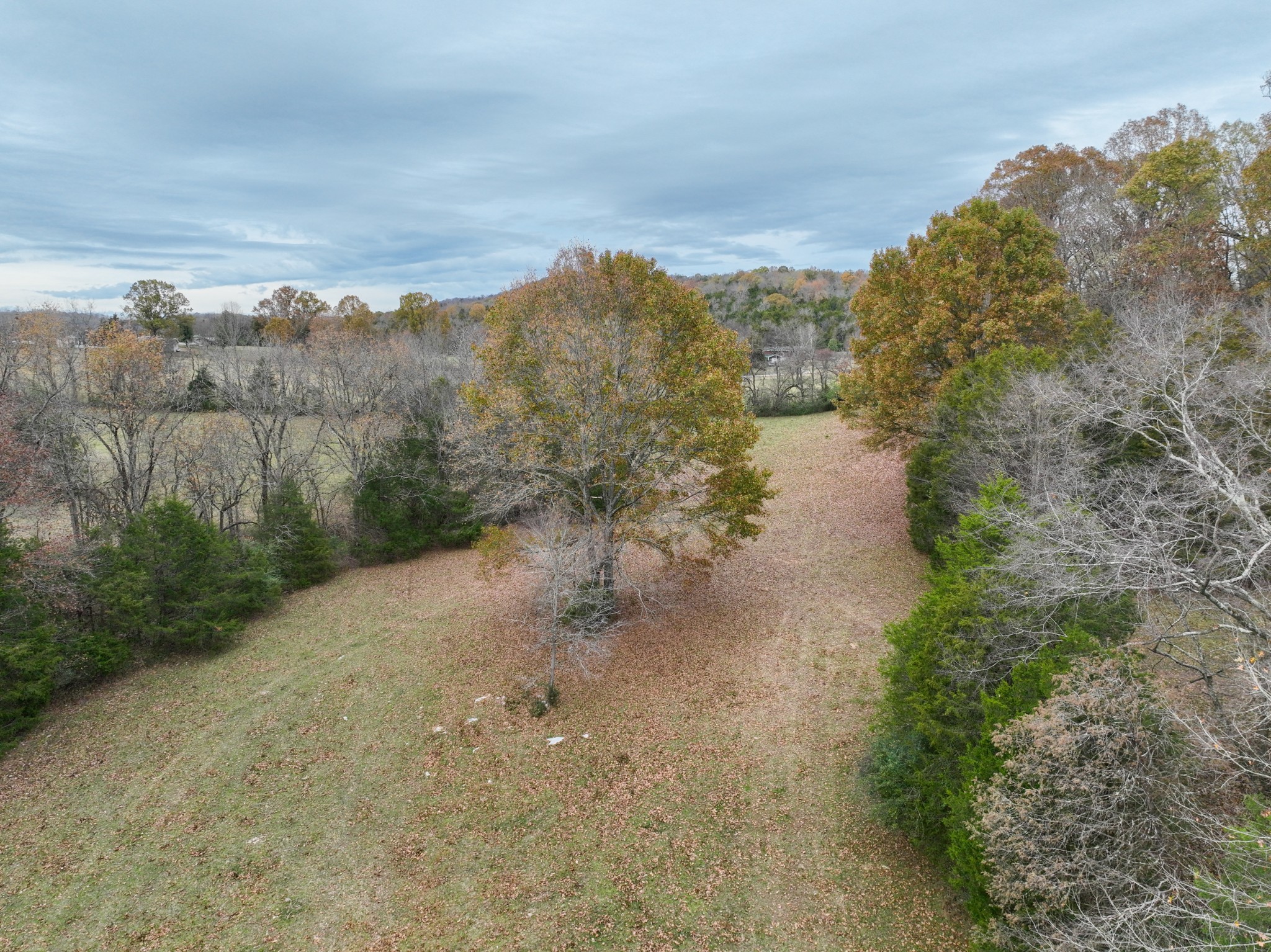 0 Gingerbread Road Petersburg, TN 37144 - Photo 3 of 40 Gallery Image 3