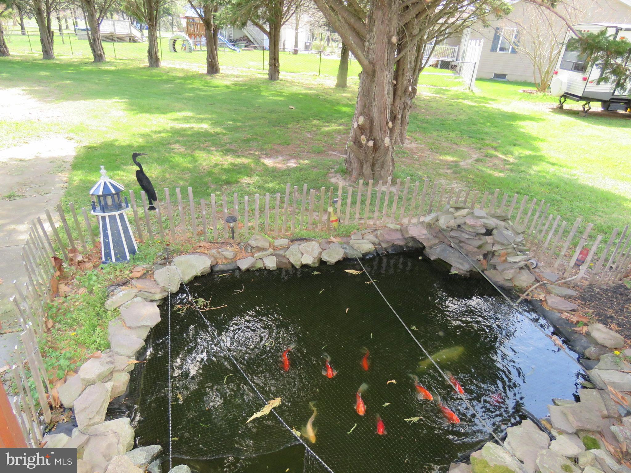 2612 Jackson Ditch Road Harrington, DE 19952 - Photo 54 of 60 KOI POND