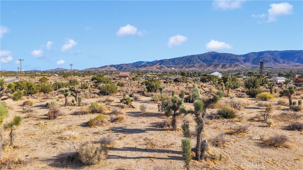 875 Locust Road Pinon Hills, CA 92372 - Photo 9 of 10
