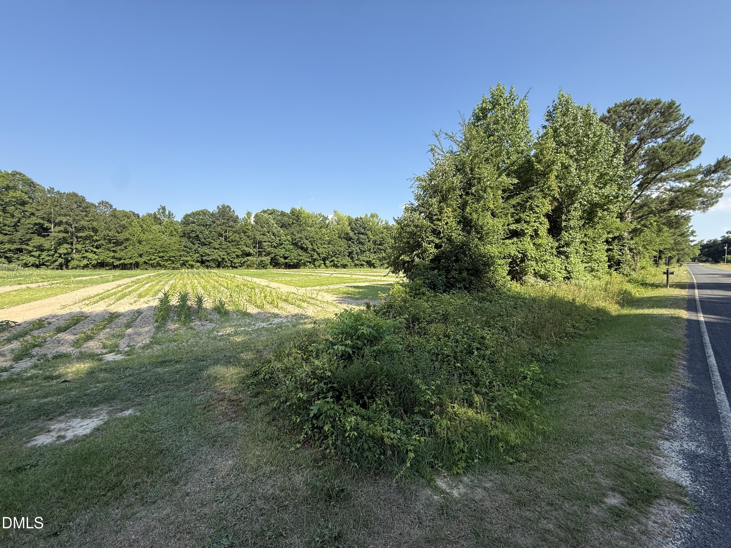 486 McDonald Road Sanford, NC 27332 - Photo 6 of 10 IMG_7237