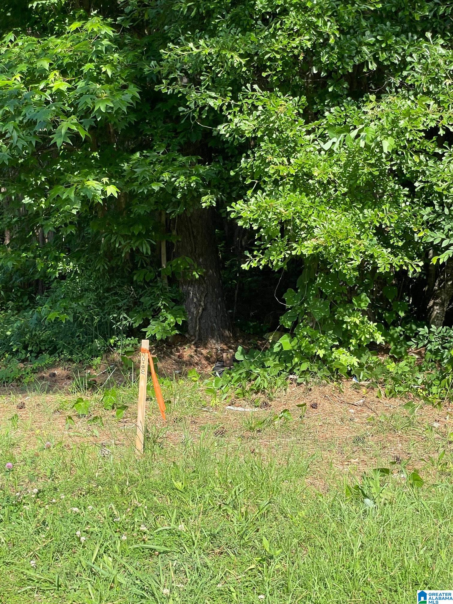 9 Highway 9 South, Unit 5 Lineville, AL 36266 - Photo 7 of 10